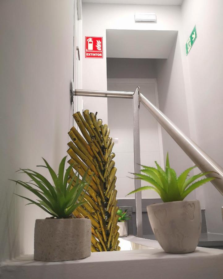 Eres Emerita "Apartamentos & Suites" メリダ エクステリア 写真